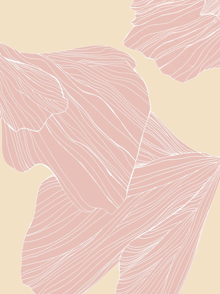 Morning Petals