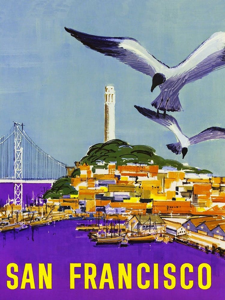 San Francisco Seagulls California Usa