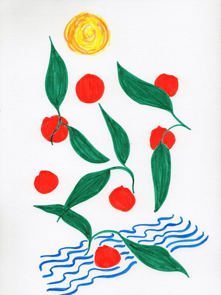 Oranges To The Sea