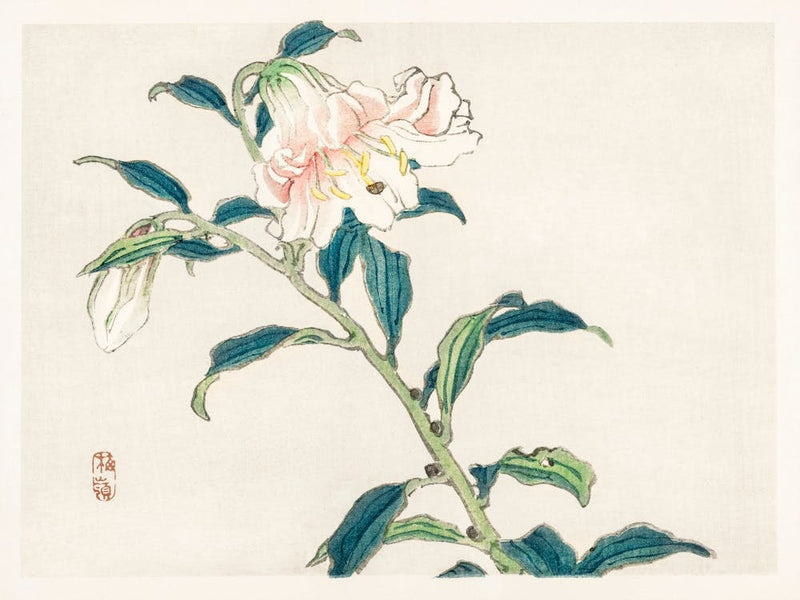 Lilie, Kōno Bairei