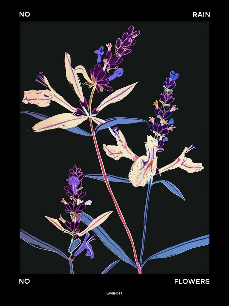 No Rain No Flowers Poster Lavender 1