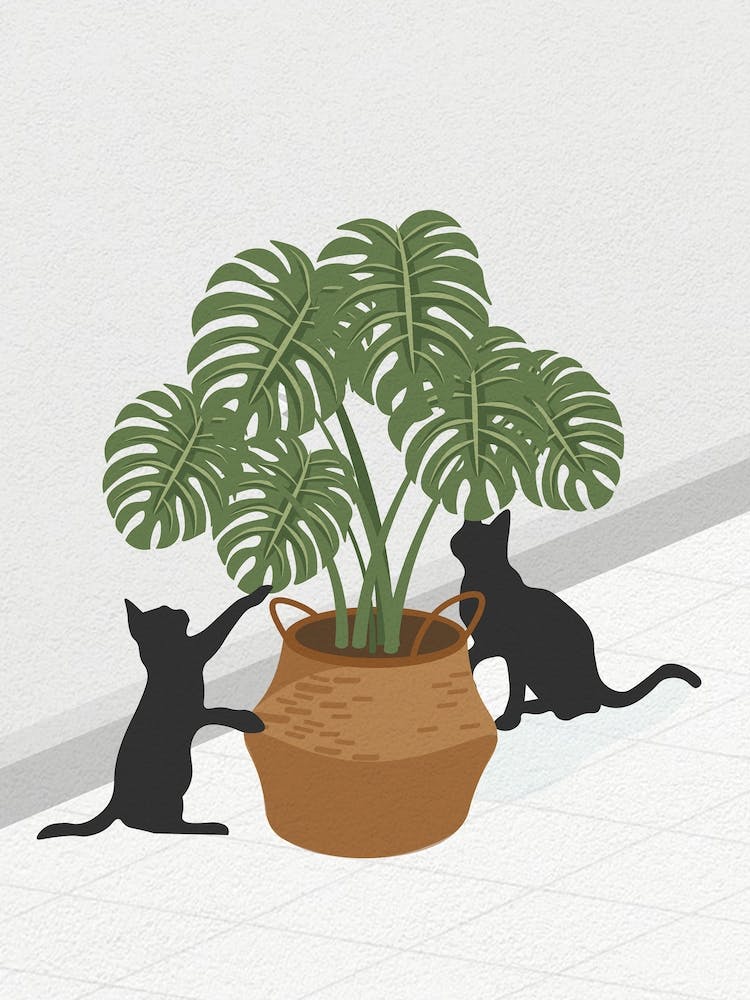 Vintage Minimal Art Two Cats Playing With A Potted Plant