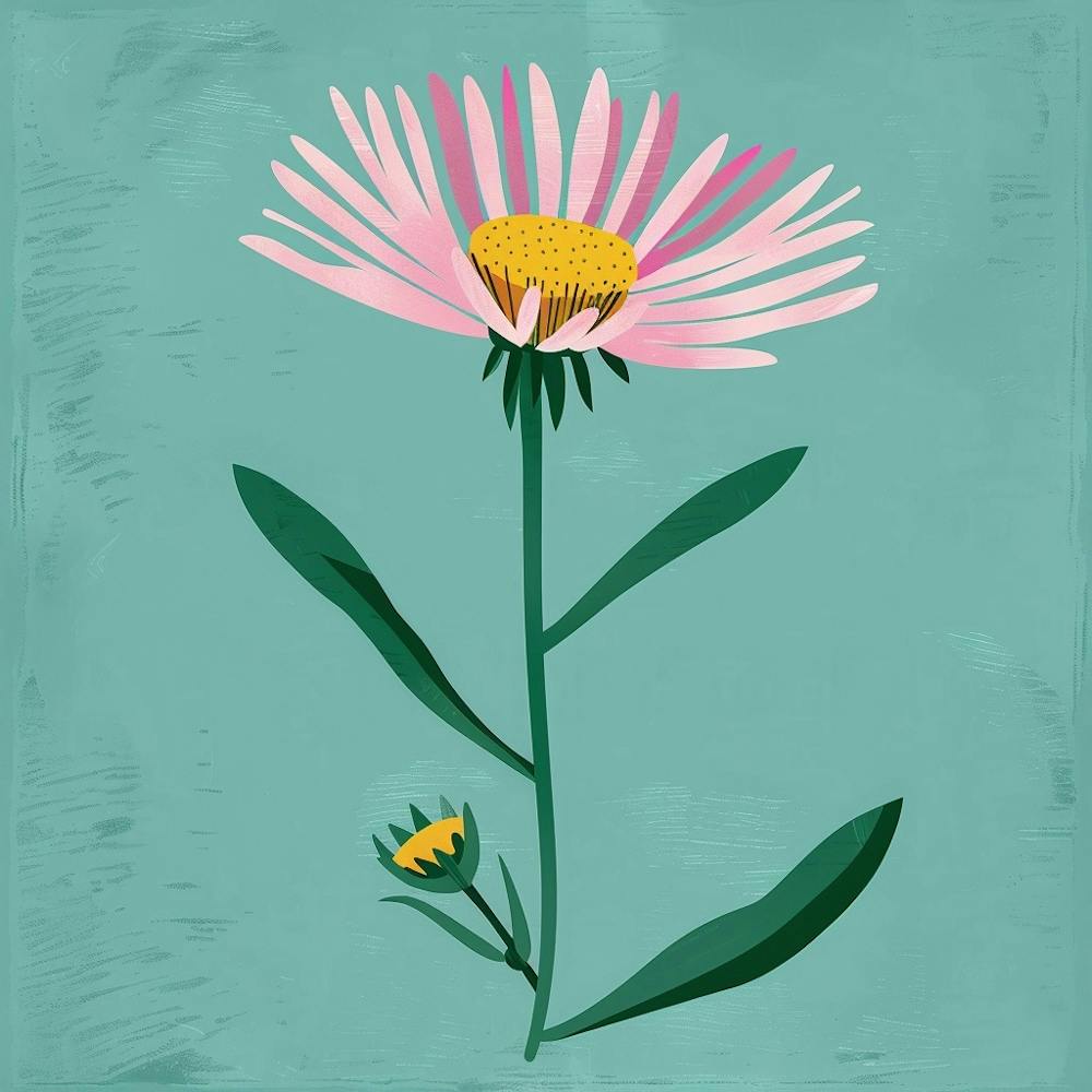 Asters 1 Illustration Florale Carrée