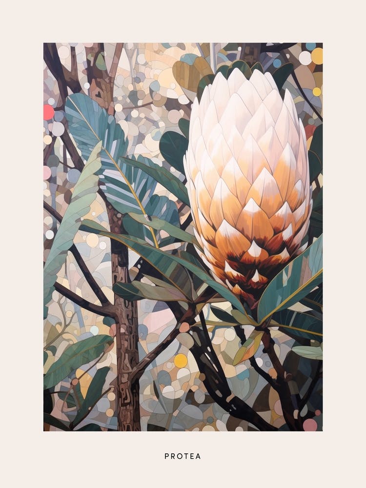 Blumenillustration Protea 3 Poster