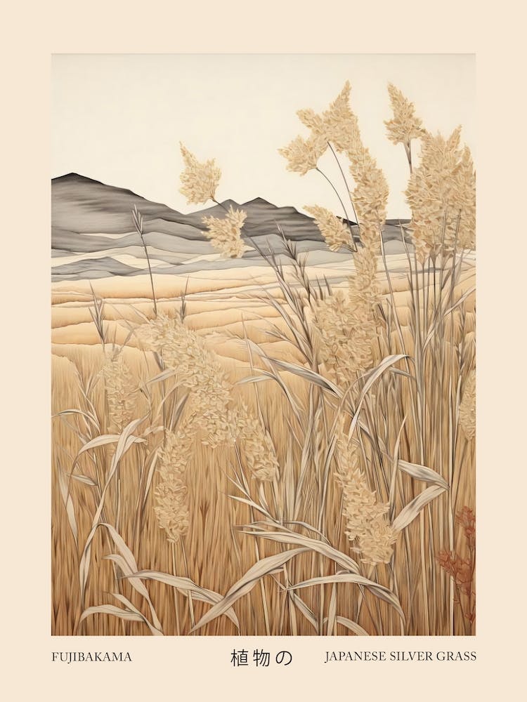 Fujibakama Japanese Silver Grass 1 Vintage Japanese Botanical Poster