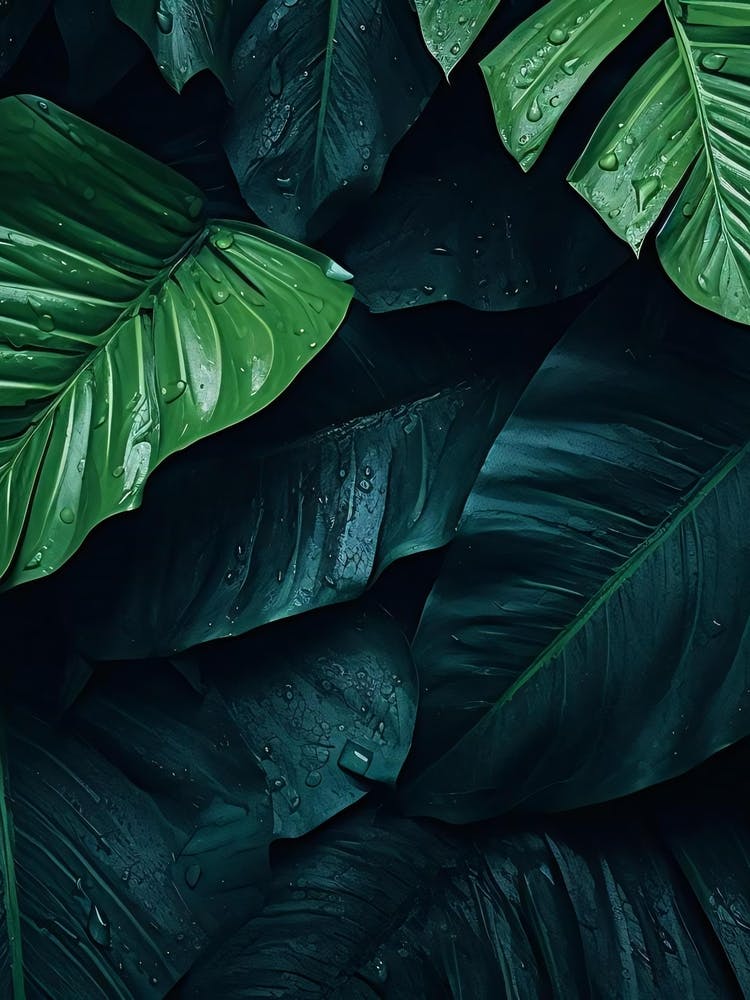 Tropical Leaves Wallpaper 2