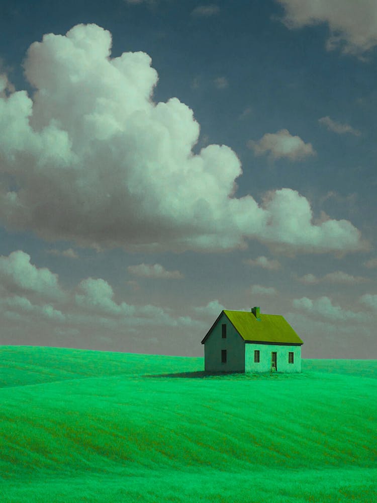 House In The Field 1