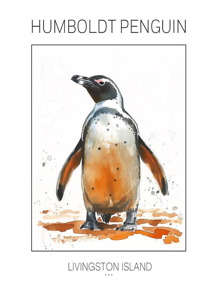 Humboldt Penguin Livingston Island Watercolour Painting 1 Poster