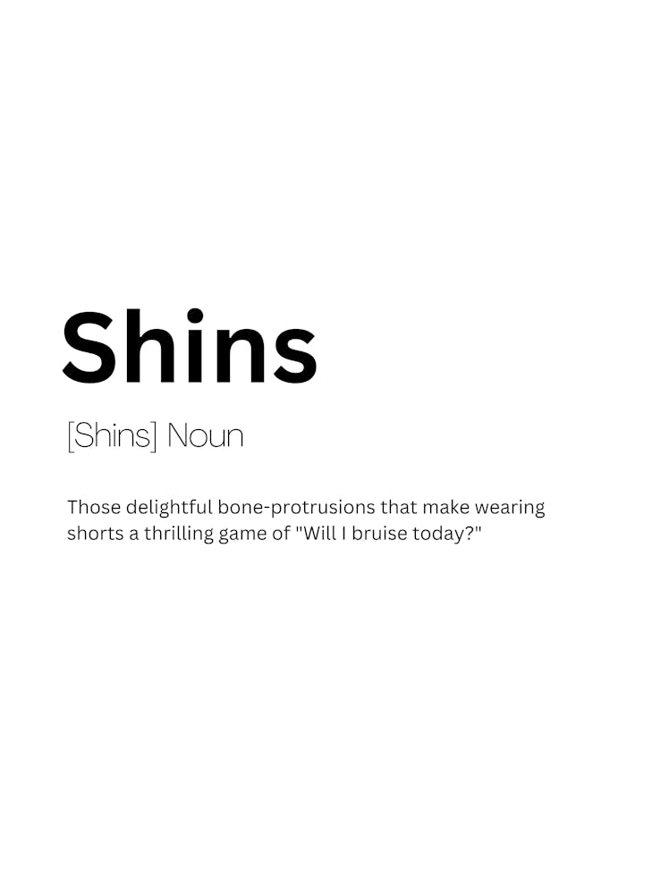 Shins Definition Meaning