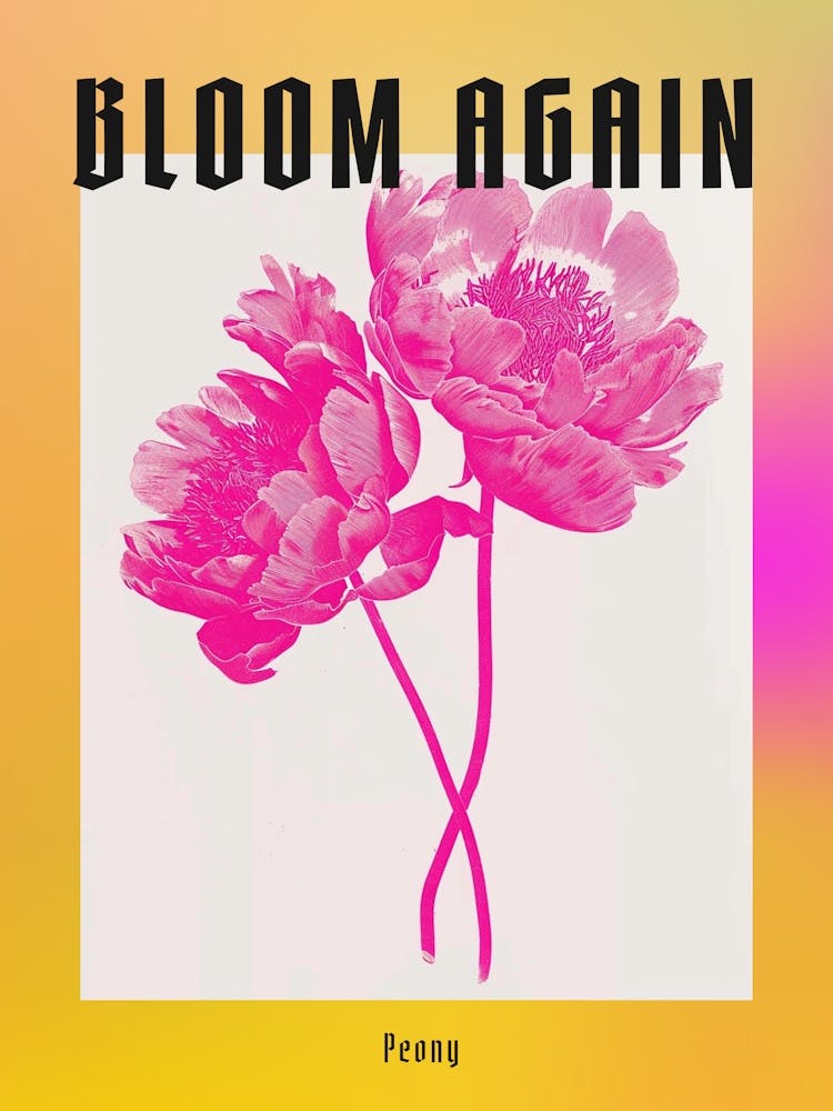 Hot Pink Peony 2 Poster