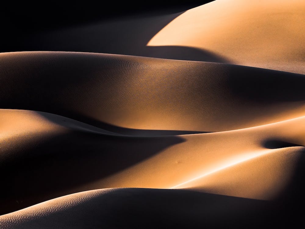 Wave