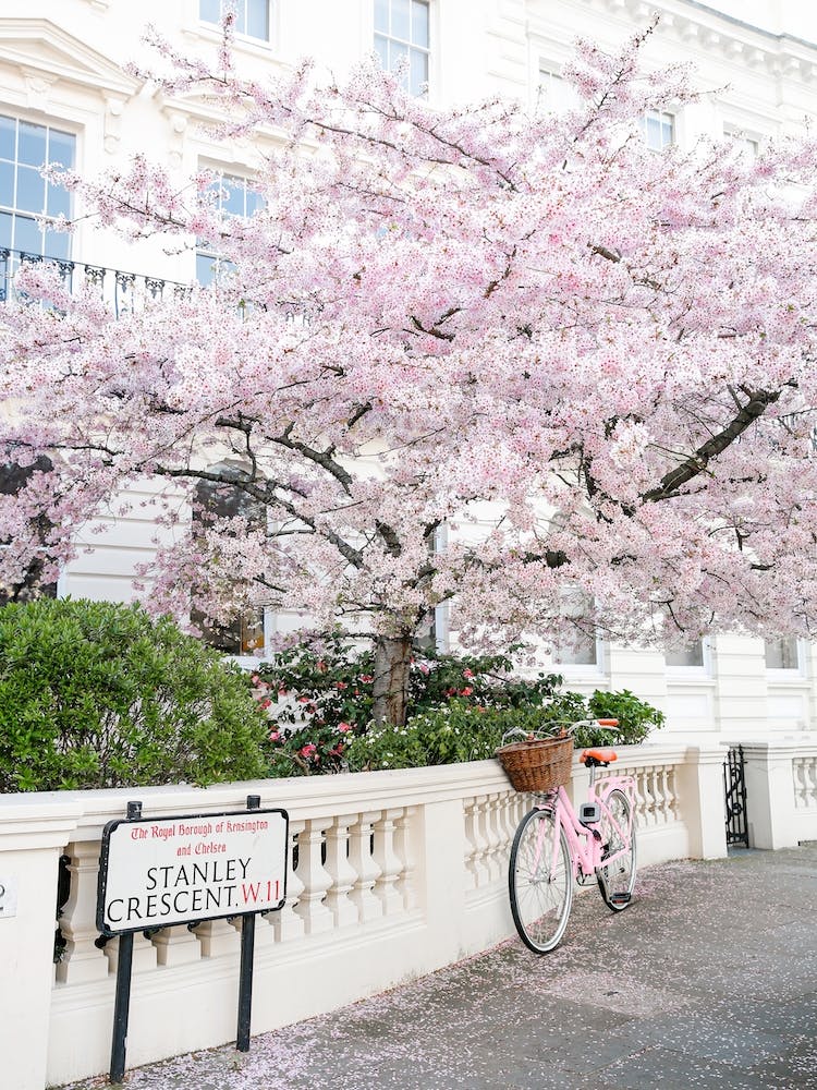 London Springtime Corner