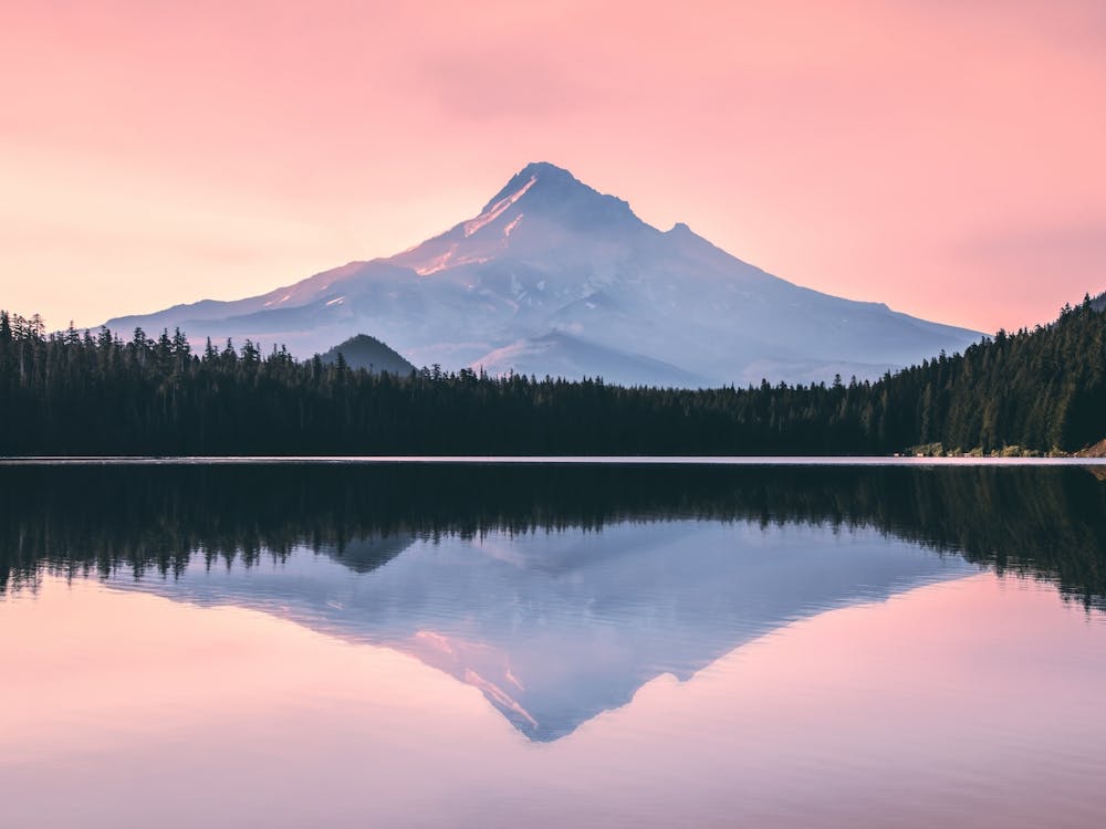 Mt. Hood At Sunset Pastel Pink