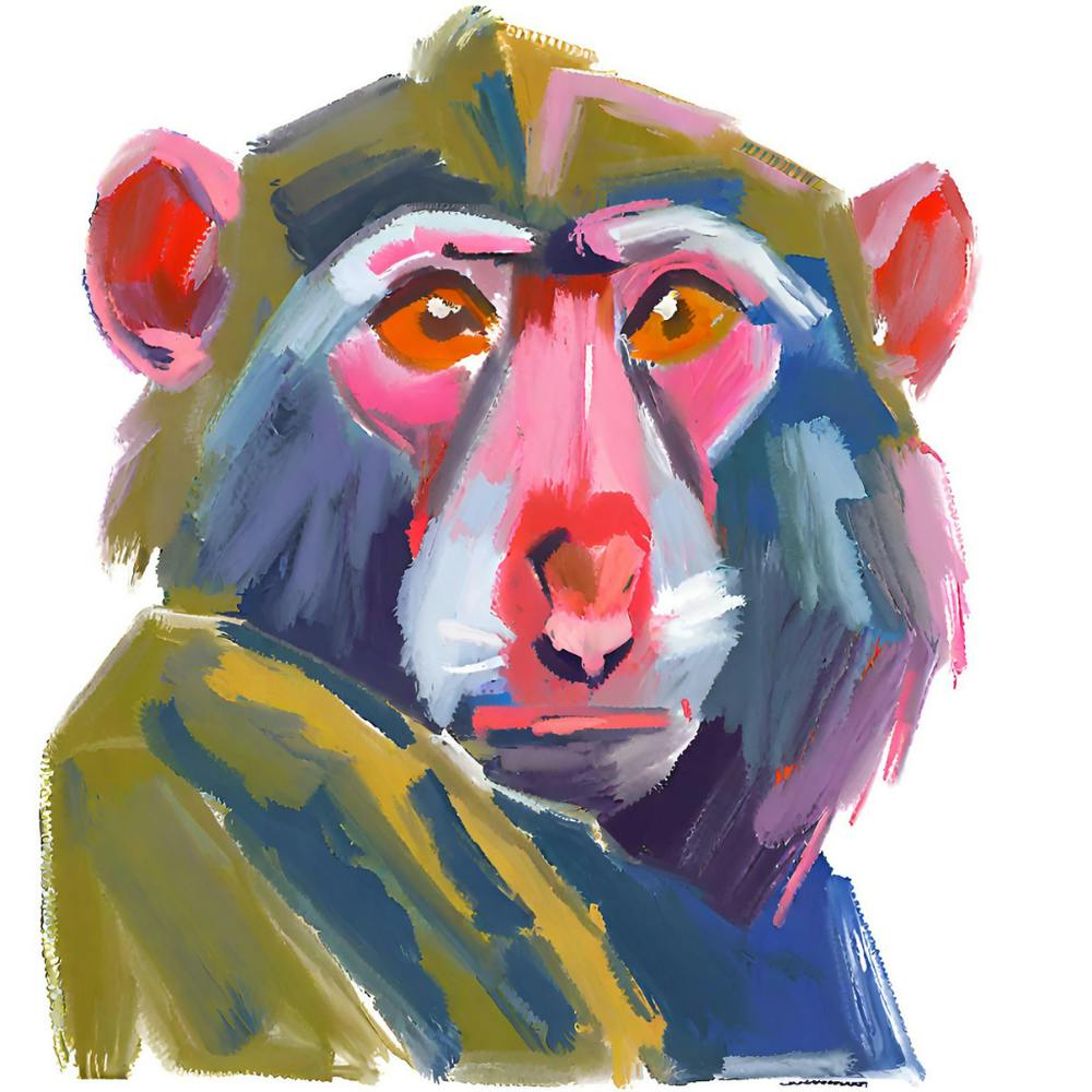 Baboon 01