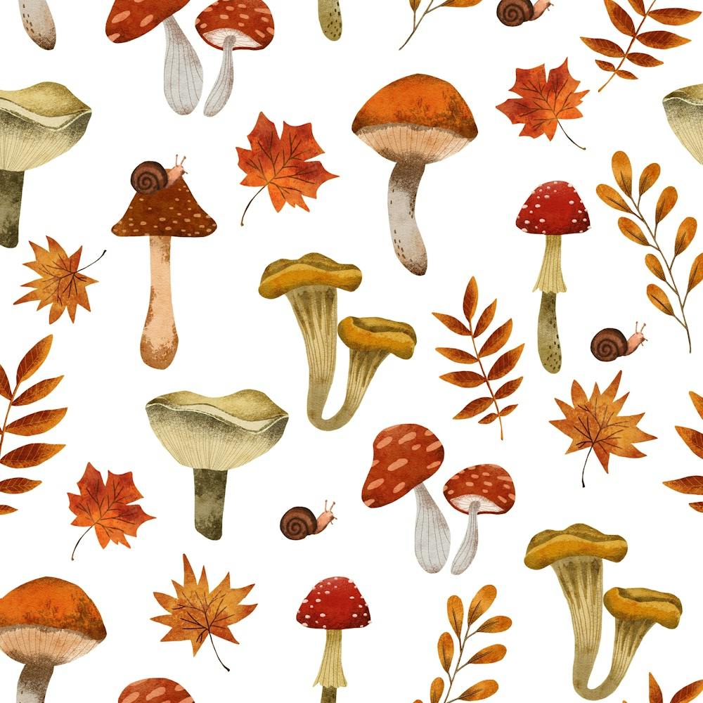 Autumn Leaves And Mushrooms