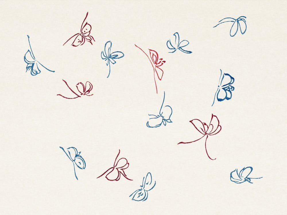 Vintage Butterfly, Cho Senshu (9)