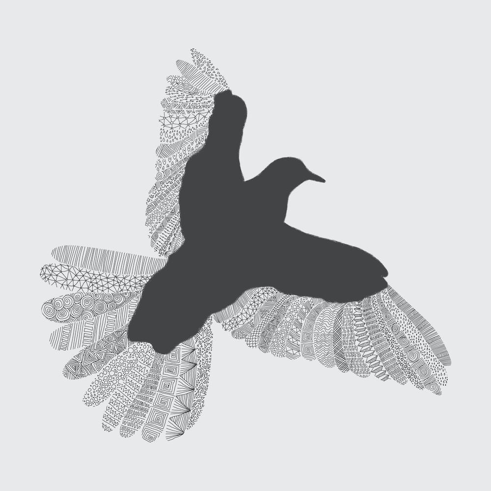Grey Bird