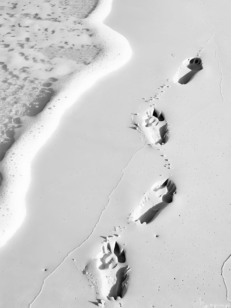 Footprints In The Sand