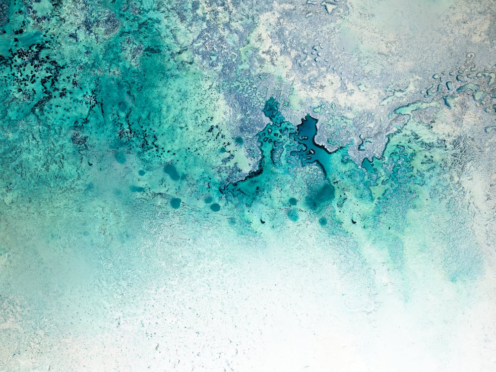 Turquoise Whispering 4