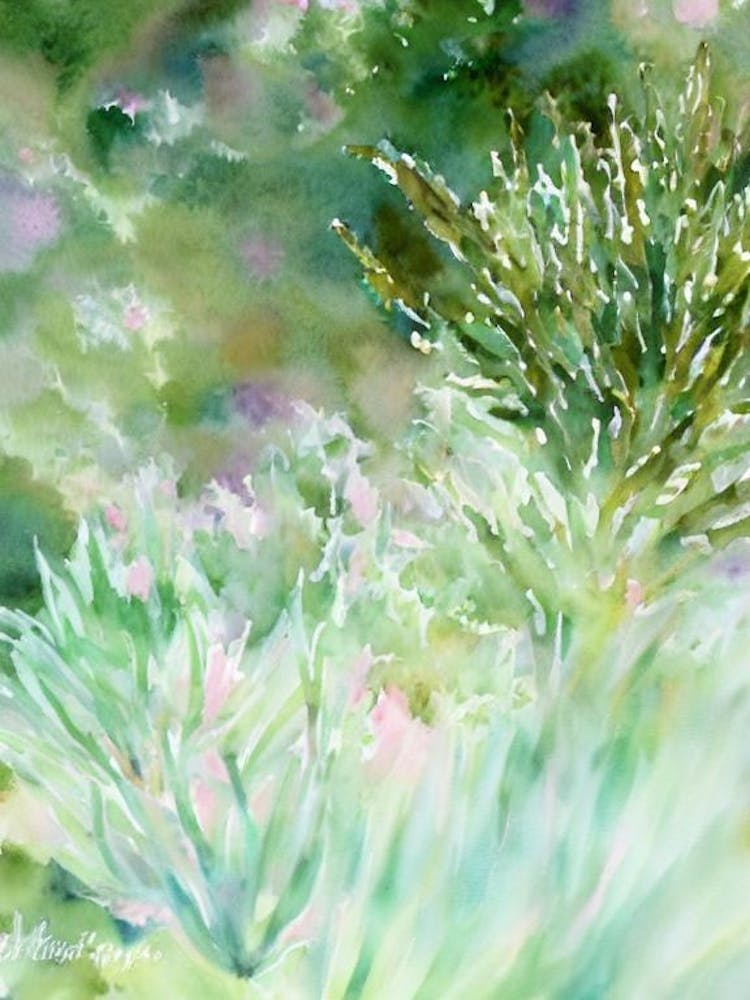 Acropora Verweyi Storybook Watercolour