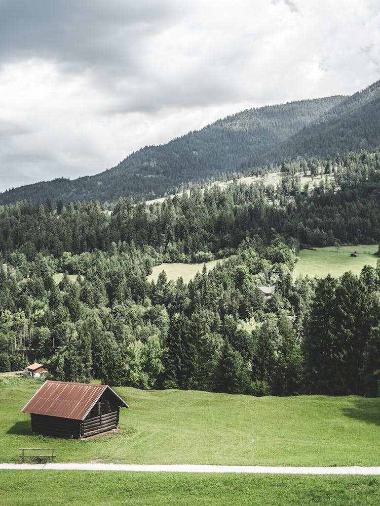 Cabin By The Road