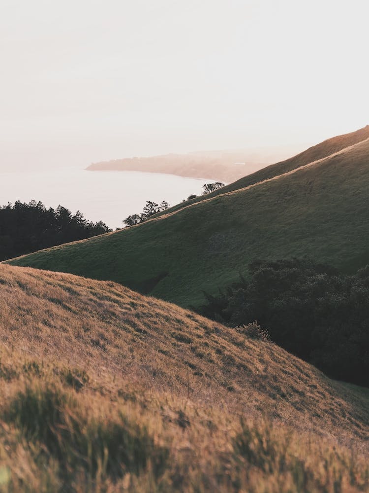 Rolling Hills In Countryside