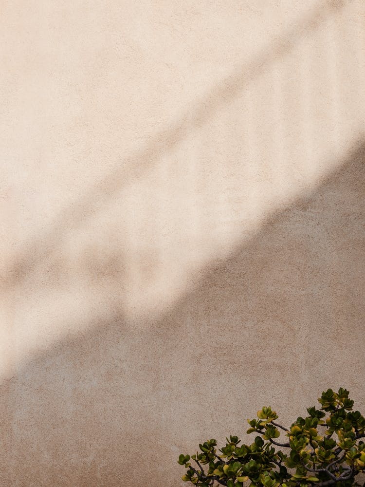 Shadow Of A Staircase