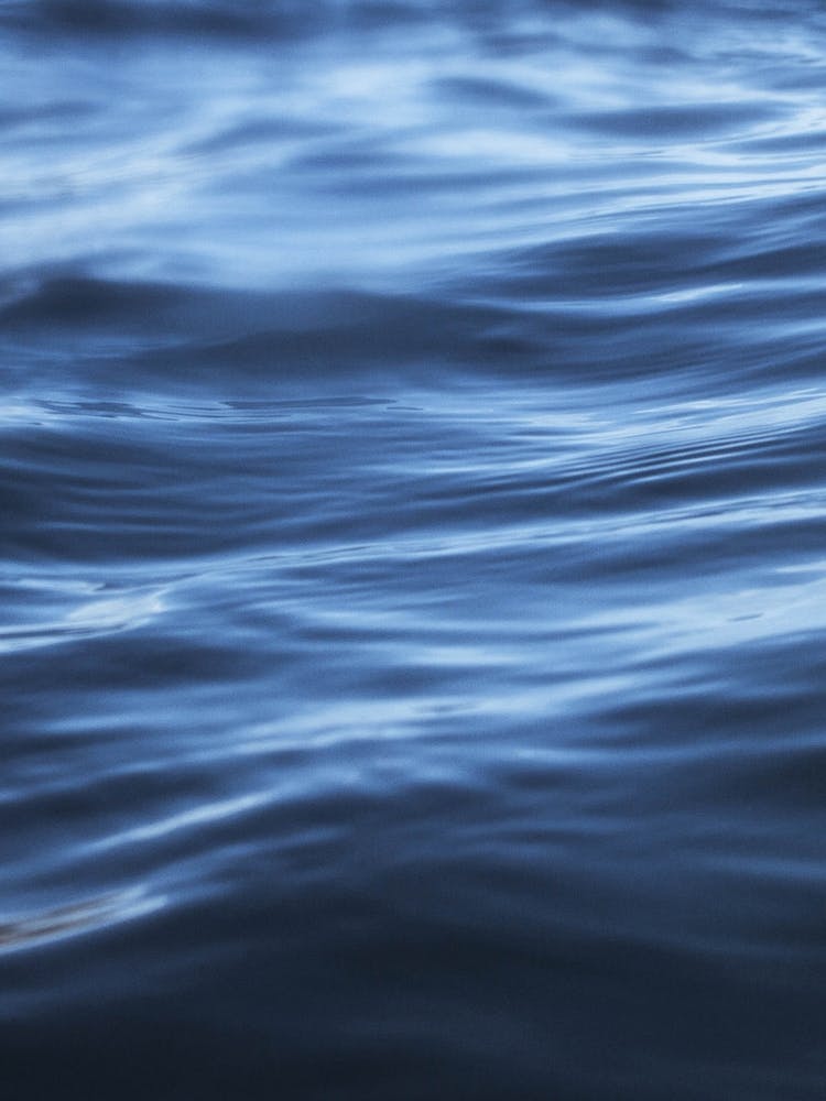 Vagues Bleues de l'Océan