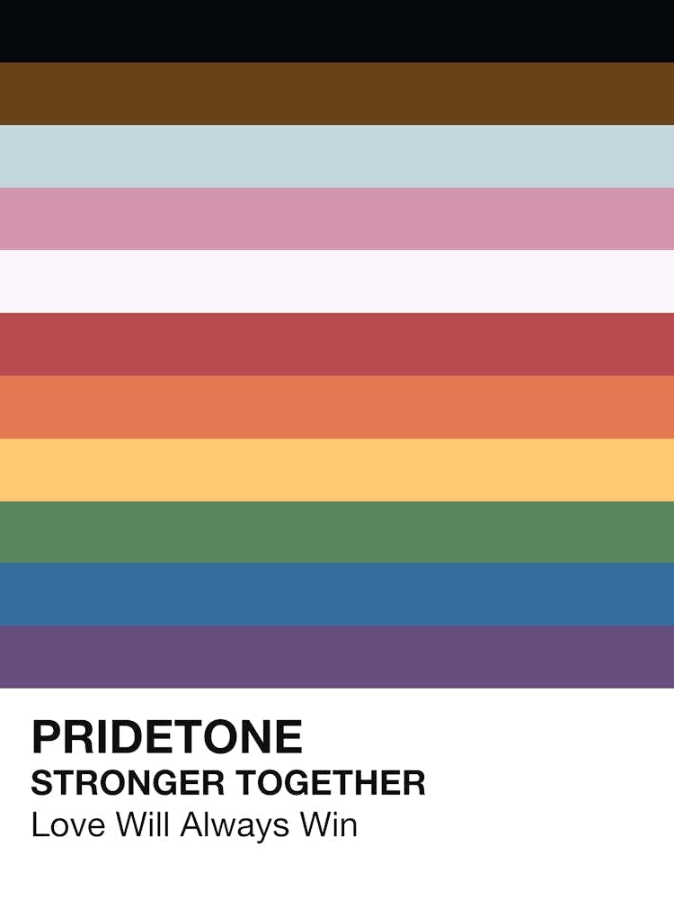 Inclusion Pride Poster