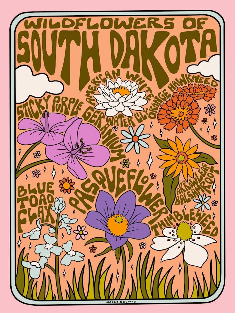 South Dakota Wildflowers
