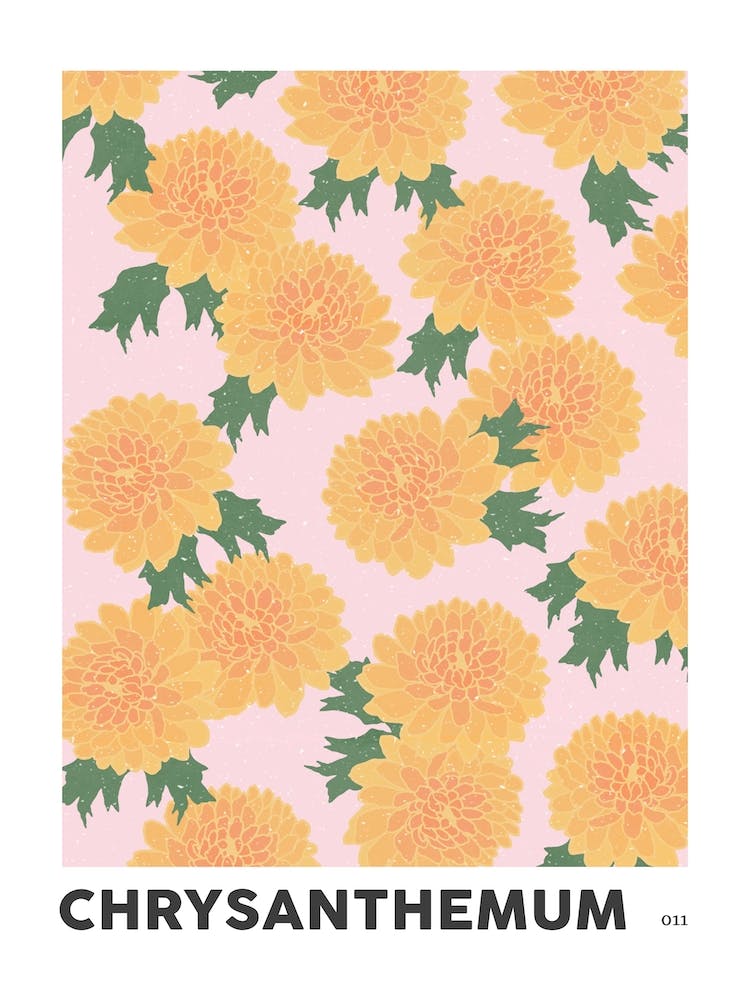 Chrysanthemum November Birth Flower