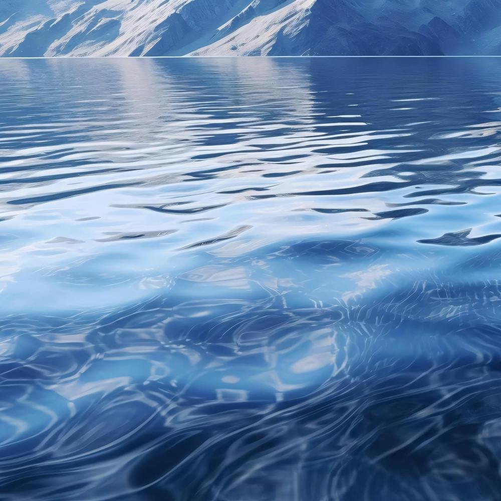Icebergs In The Water