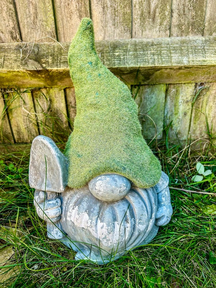 Nain de Jardin