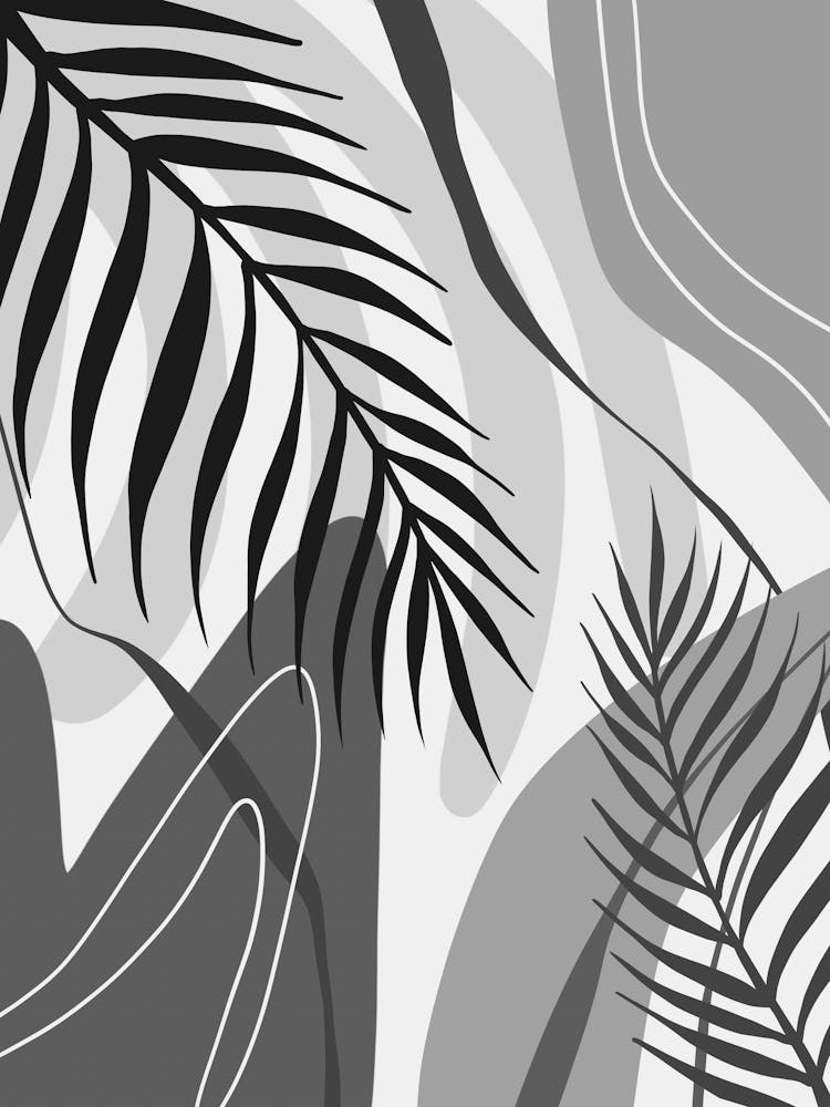 Abstract Black And White Palm Leaves