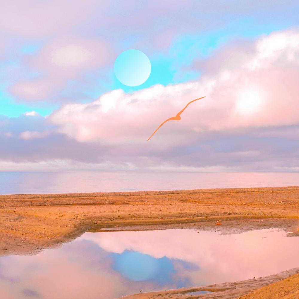 Moon Reflexion With Pink Seagull Square
