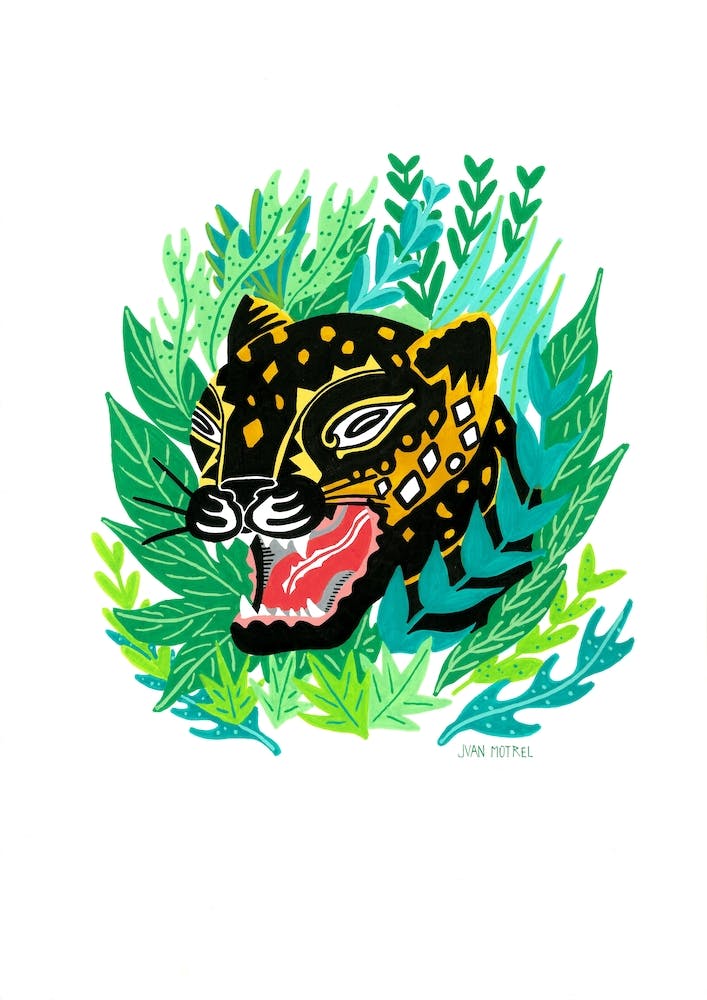Onca