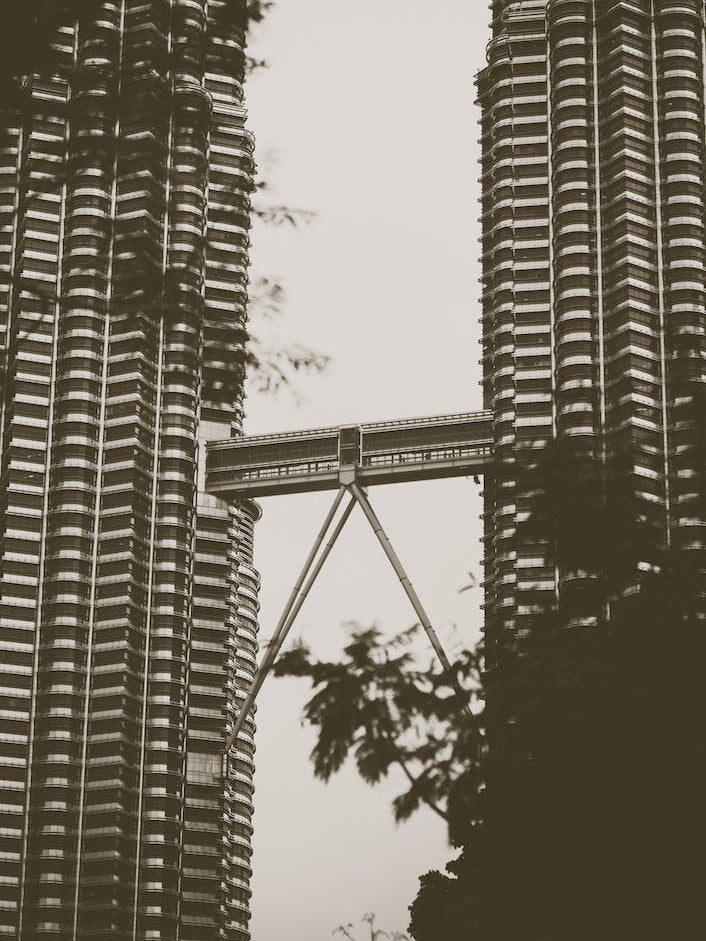 Petronas Twin Towers 1