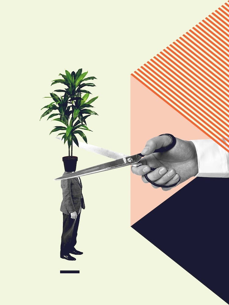 C Is For Cut The Crap