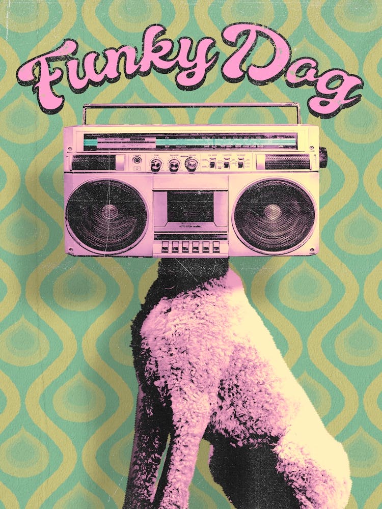 Funky Dog
