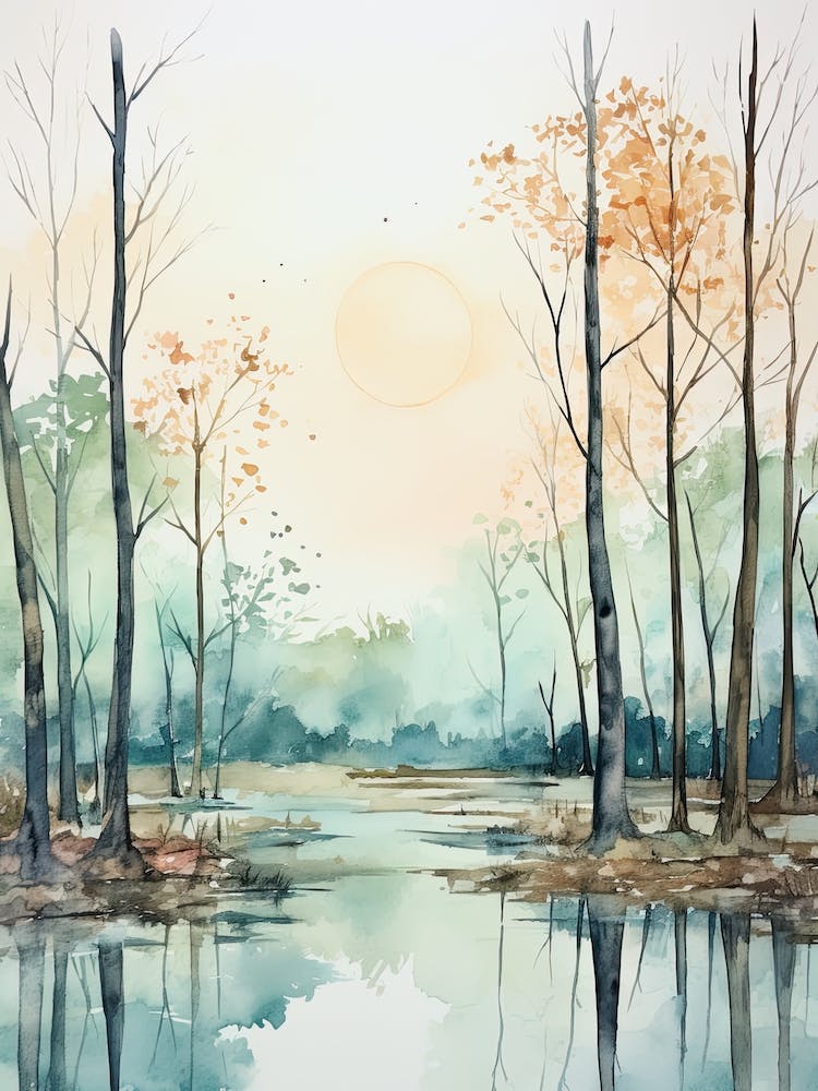 Watercolour Painting Of Congaree National Park   South Carolina Usa 1