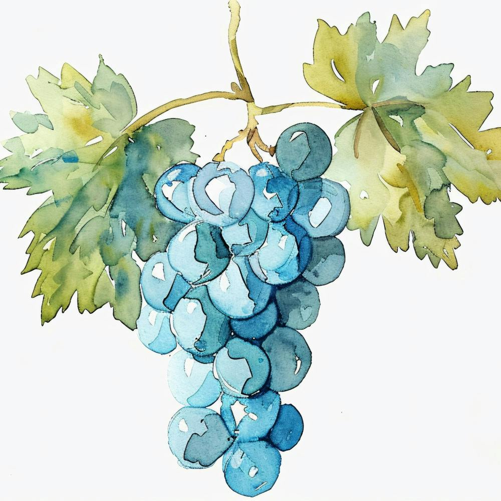 Watercolor Grapes 1