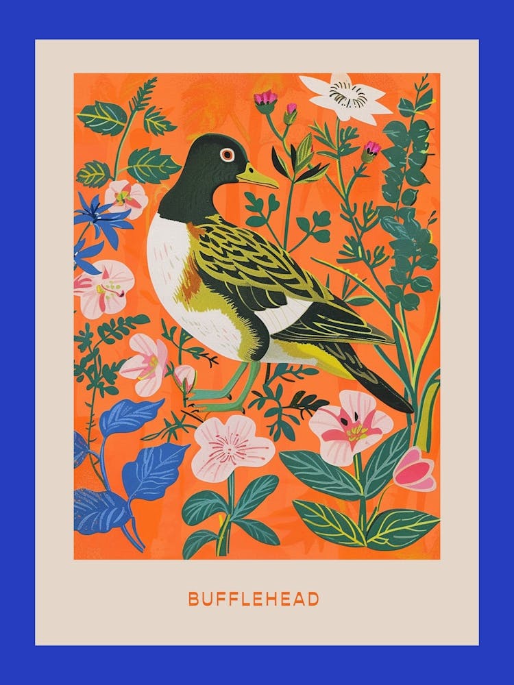Spring Birds Poster Bufflehead 2