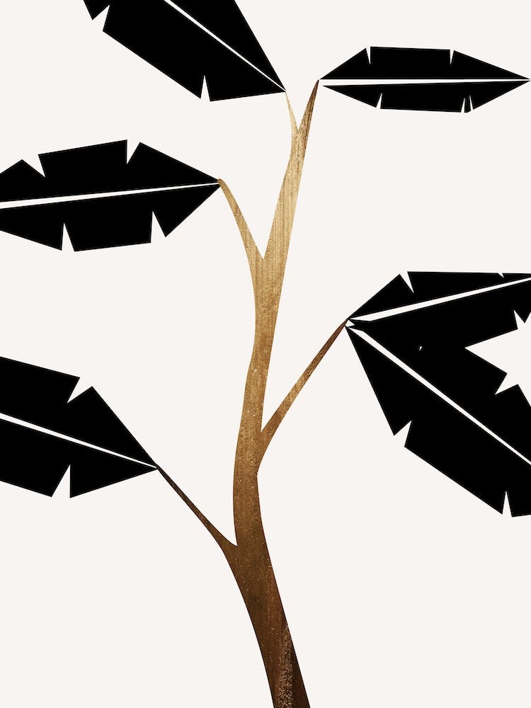 Banana Tree Black