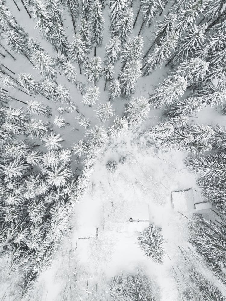 Calm Winter