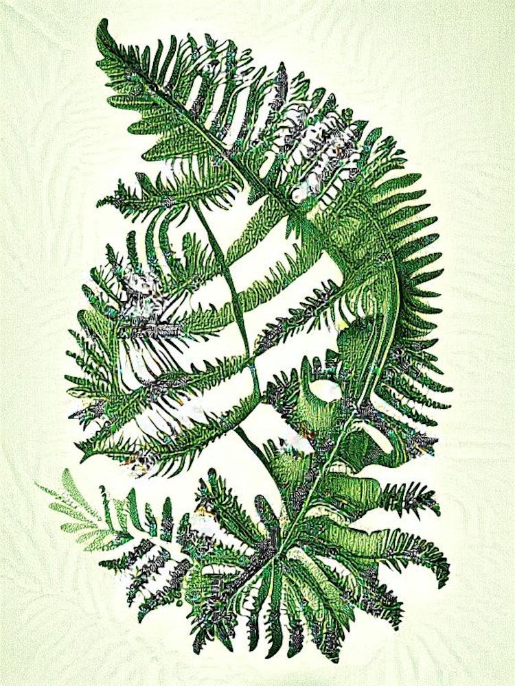 Pteris Fern Vintage Botanical Poster