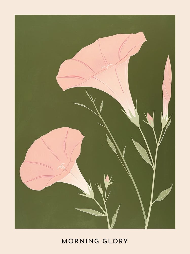 Pink & Green Morning Glory 3 Flower Poster