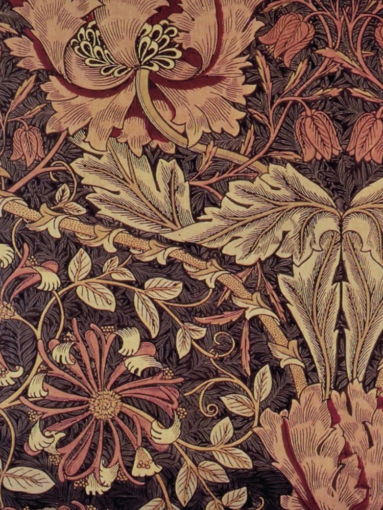 Honeysuckle Detail, William Morris