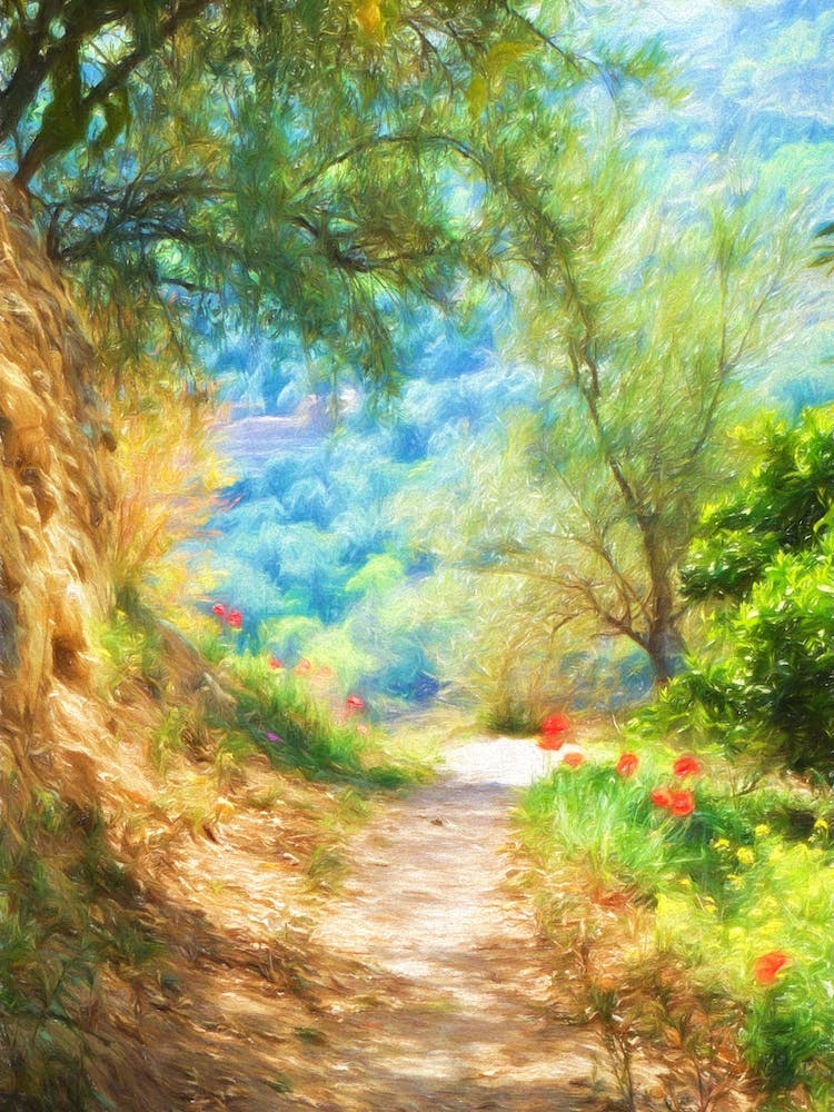 The Poppy Pathway