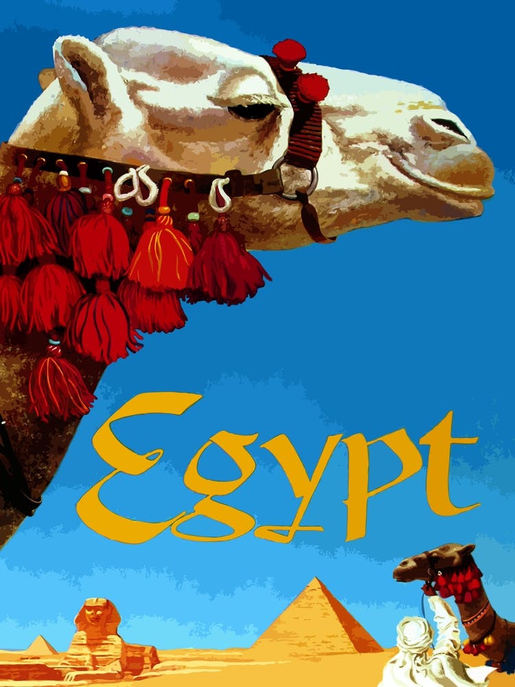 Egypt, Profile Of A Camel in Front of Pyramid and Sphinx of Giza