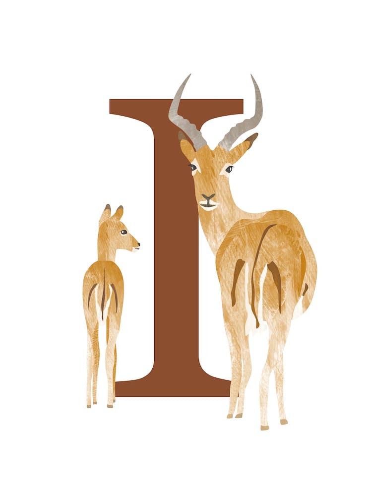 I For Impala